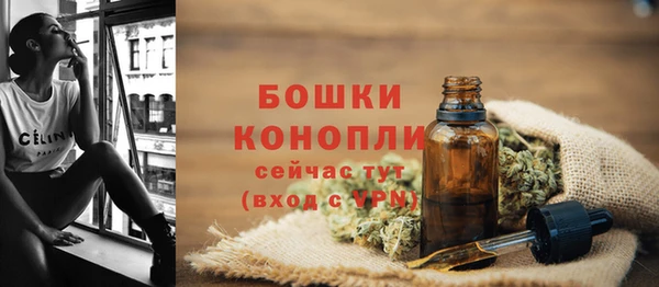 прущая мука Няндома